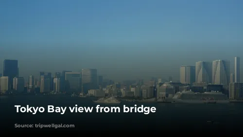 Tokyo Bay view from bridge