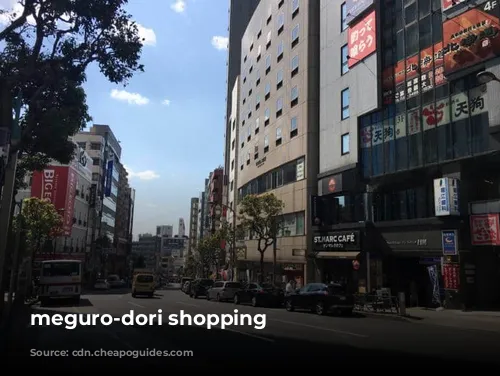 meguro-dori shopping