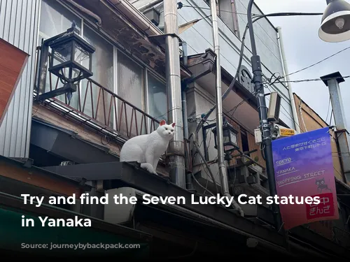 Try and find the Seven Lucky Cat statues while in Yanaka 