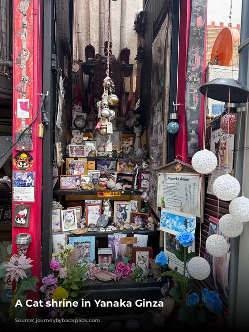 A Cat shrine in Yanaka Ginza