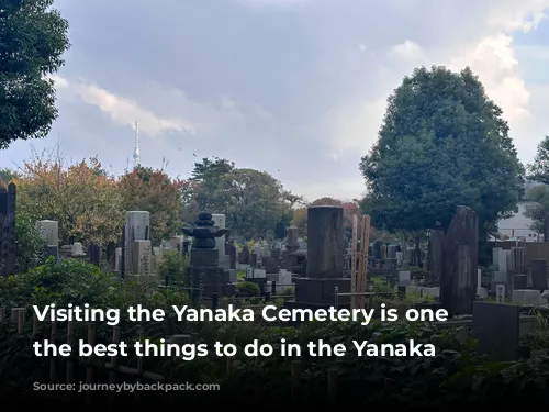 Visiting the Yanaka Cemetery is one of the best things to do in the Yanaka area