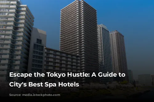 Escape the Tokyo Hustle:  A Guide to the City's Best Spa Hotels