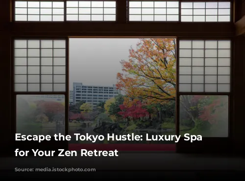 Escape the Tokyo Hustle:  Luxury Spa Hotels for Your Zen Retreat