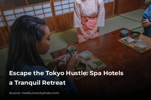 Escape the Tokyo Hustle: Spa Hotels for a Tranquil Retreat