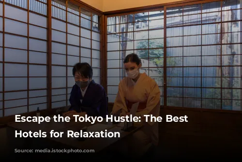 Escape the Tokyo Hustle: The Best Spa Hotels for Relaxation