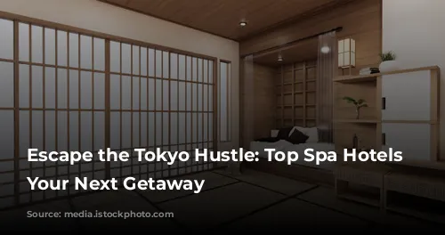 Escape the Tokyo Hustle: Top Spa Hotels for Your Next Getaway