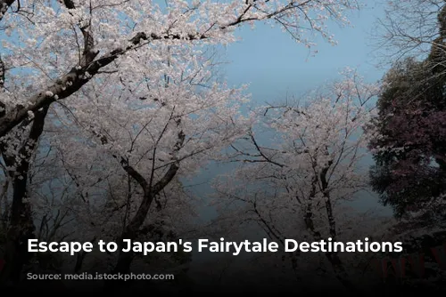 Escape to Japan's Fairytale Destinations