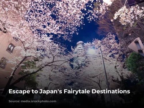 Escape to Japan's Fairytale Destinations