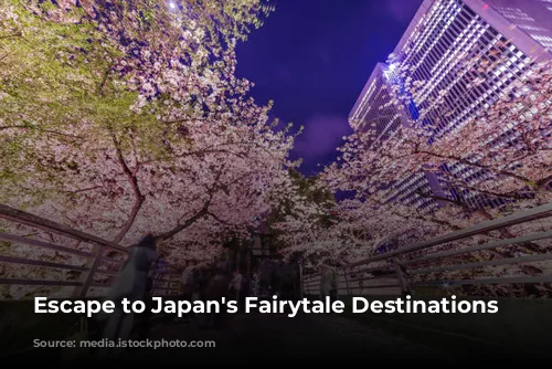 Escape to Japan's Fairytale Destinations