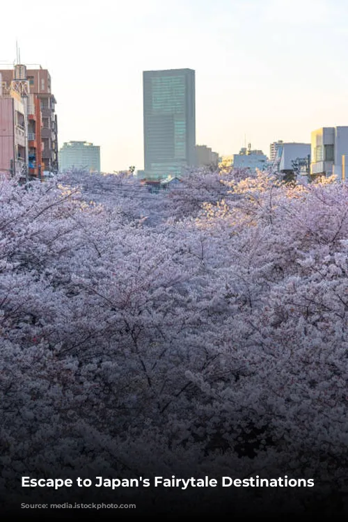 Escape to Japan's Fairytale Destinations