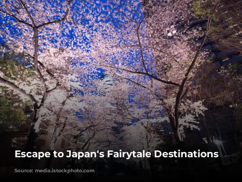 Escape to Japan's Fairytale Destinations