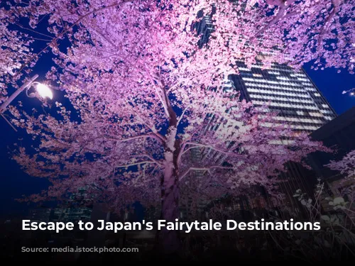 Escape to Japan's Fairytale Destinations