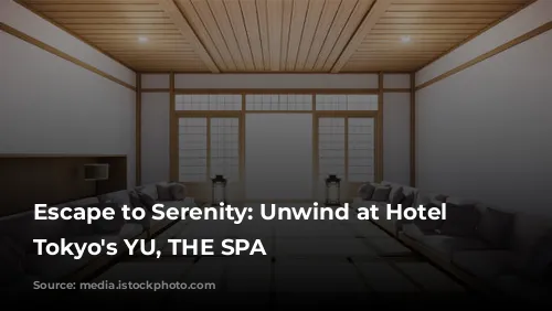 Escape to Serenity: Unwind at Hotel Chinzanso Tokyo's YU, THE SPA