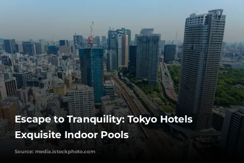 Escape to Tranquility: Tokyo Hotels with Exquisite Indoor Pools