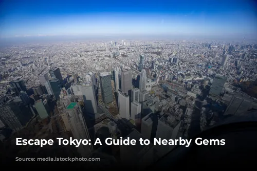 Escape Tokyo: A Guide to Nearby Gems