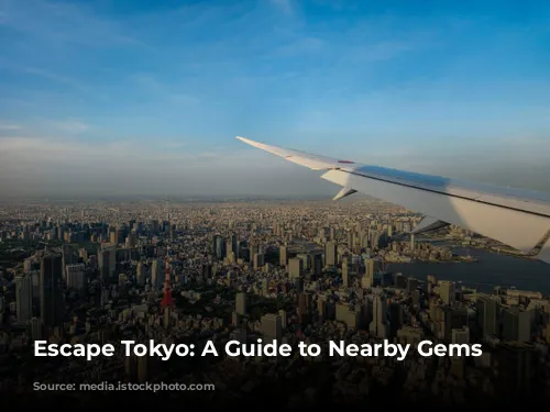 Escape Tokyo: A Guide to Nearby Gems