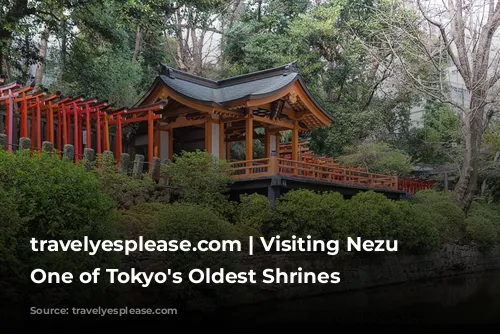 travelyesplease.com | Visiting Nezu Shrine- One of Tokyo's Oldest Shrines