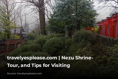 travelyesplease.com | Nezu Shrine- History, Tour, and Tips for Visiting