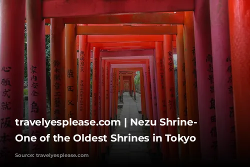 travelyesplease.com | Nezu Shrine- Visiting One of the Oldest Shrines in Tokyo