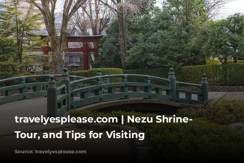 travelyesplease.com | Nezu Shrine- History, Tour, and Tips for Visiting