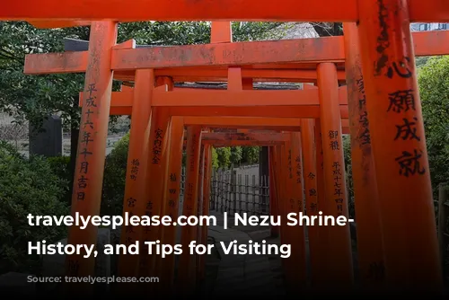 travelyesplease.com | Nezu Shrine- Tour, History, and Tips for Visiting