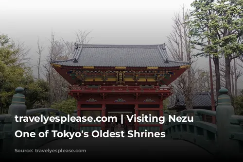 travelyesplease.com | Visiting Nezu Shrine- One of Tokyo's Oldest Shrines