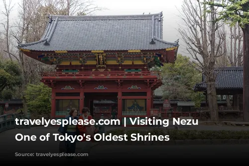 travelyesplease.com | Visiting Nezu Shrine- One of Tokyo's Oldest Shrines