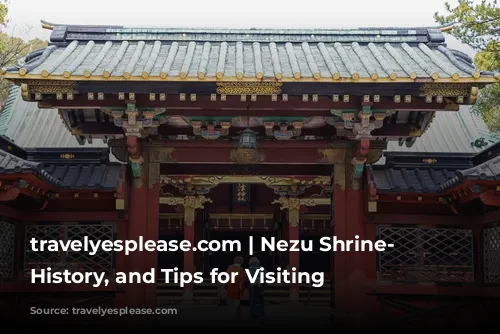 travelyesplease.com | Nezu Shrine- Tour, History, and Tips for Visiting