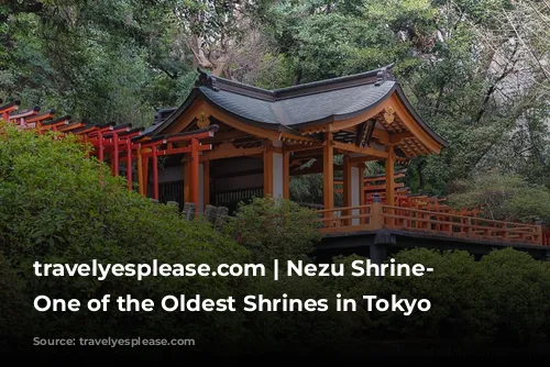 travelyesplease.com | Nezu Shrine- Visiting One of the Oldest Shrines in Tokyo