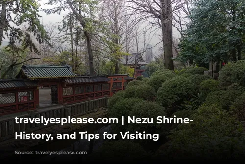 travelyesplease.com | Nezu Shrine- Tour, History, and Tips for Visiting