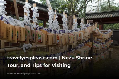 travelyesplease.com | Nezu Shrine- History, Tour, and Tips for Visiting