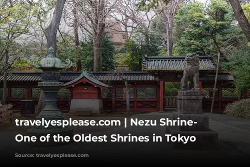 travelyesplease.com | Nezu Shrine- Visiting One of the Oldest Shrines in Tokyo