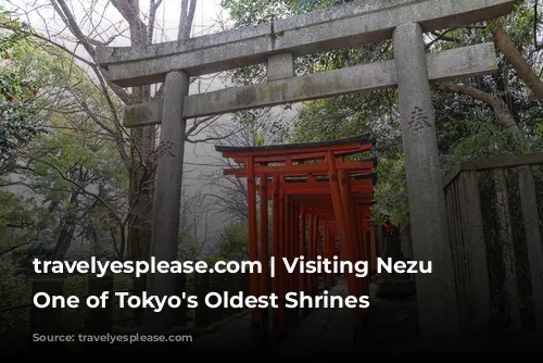 travelyesplease.com | Visiting Nezu Shrine- One of Tokyo's Oldest Shrines