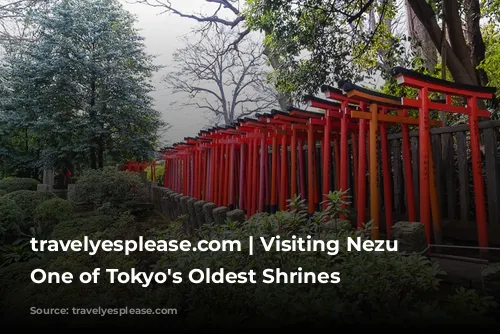 travelyesplease.com | Visiting Nezu Shrine- One of Tokyo's Oldest Shrines