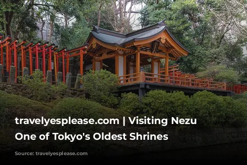 travelyesplease.com | Visiting Nezu Shrine- One of Tokyo's Oldest Shrines