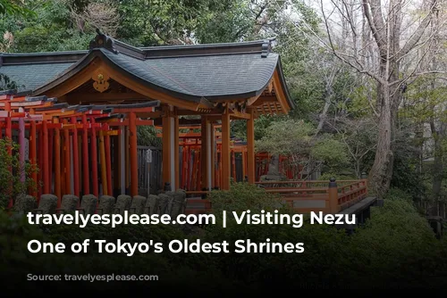 travelyesplease.com | Visiting Nezu Shrine- One of Tokyo's Oldest Shrines