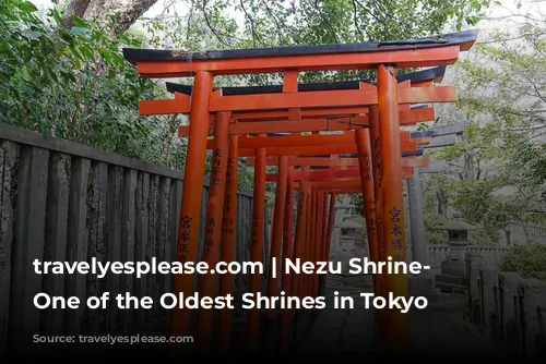 travelyesplease.com | Nezu Shrine- Visiting One of the Oldest Shrines in Tokyo