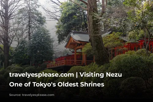 travelyesplease.com | Visiting Nezu Shrine- One of Tokyo's Oldest Shrines