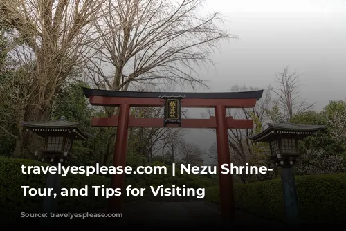 travelyesplease.com | Nezu Shrine- History, Tour, and Tips for Visiting