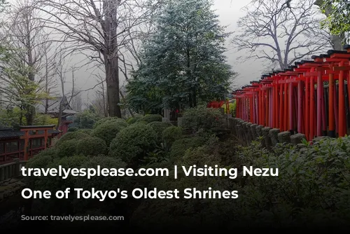 travelyesplease.com | Visiting Nezu Shrine- One of Tokyo's Oldest Shrines