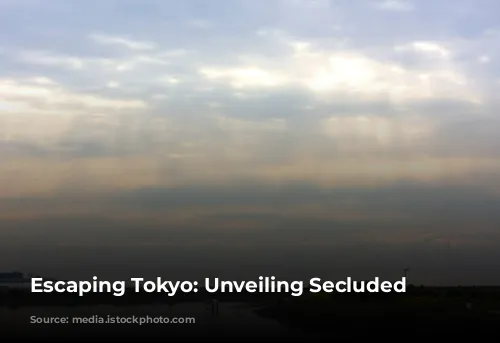 Escaping Tokyo: Unveiling Secluded Beaches