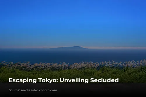 Escaping Tokyo: Unveiling Secluded Beaches