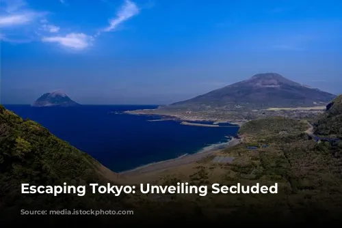 Escaping Tokyo: Unveiling Secluded Beaches