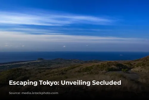 Escaping Tokyo: Unveiling Secluded Beaches