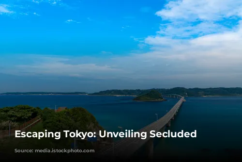 Escaping Tokyo: Unveiling Secluded Beaches