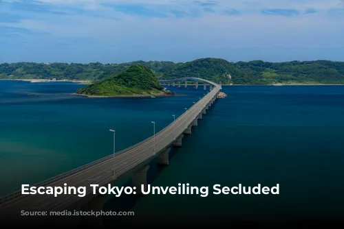 Escaping Tokyo: Unveiling Secluded Beaches