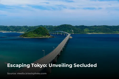 Escaping Tokyo: Unveiling Secluded Beaches