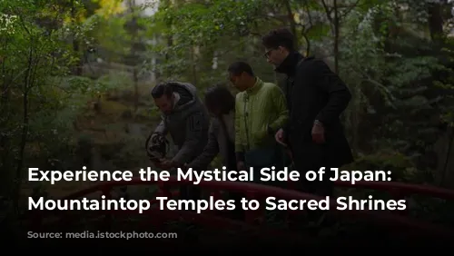 Experience the Mystical Side of Japan: From Mountaintop Temples to Sacred Shrines