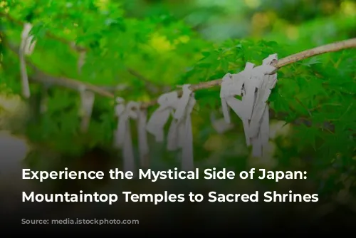 Experience the Mystical Side of Japan: From Mountaintop Temples to Sacred Shrines