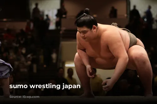 sumo wrestling japan